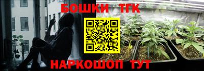 ешки Заводоуковск